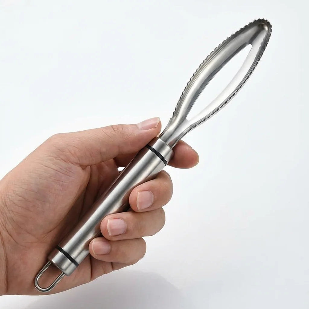 Pointed Fish Scaler, Removes Scales Quickly & Easily. 27x8cm, Stainless Steel, Ergonomic Grip