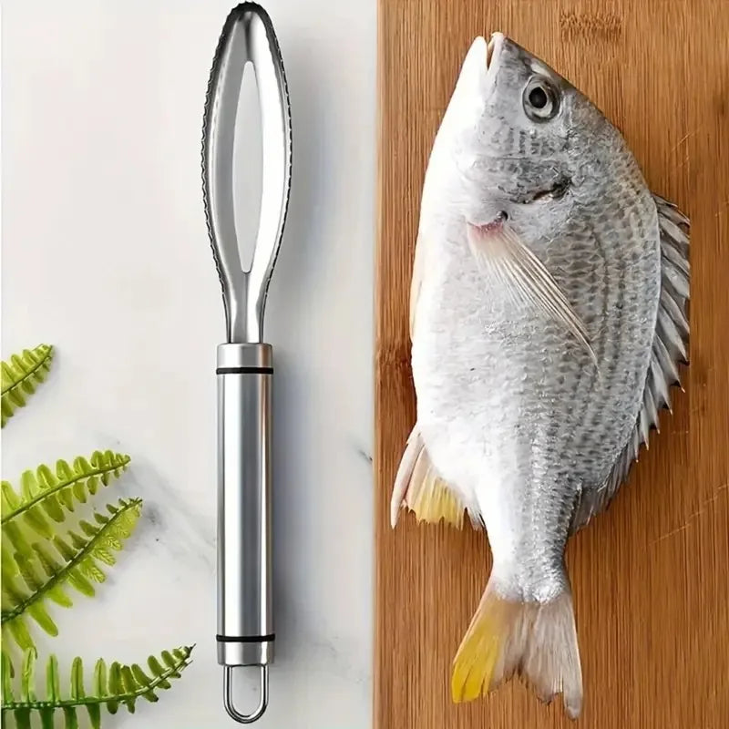 Pointed Fish Scaler, Removes Scales Quickly & Easily. 27x8cm, Stainless Steel, Ergonomic Grip