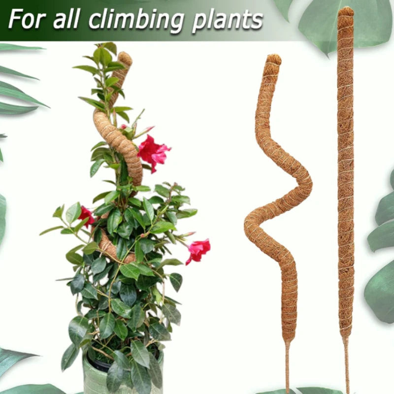 Bendable Moss Pole, Plants Climbing Support Extension Pole, Monstera Palm Vines Soporte Stakes, Garden Potted Plant Accessories