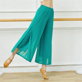 Mesh Wide-Leg Dance Pants