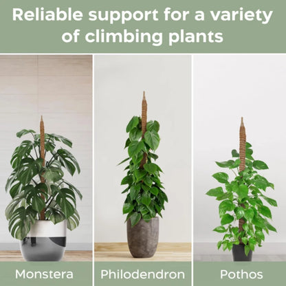 Bendable Moss Pole, Plants Climbing Support Extension Pole, Monstera Palm Vines Soporte Stakes, Garden Potted Plant Accessories