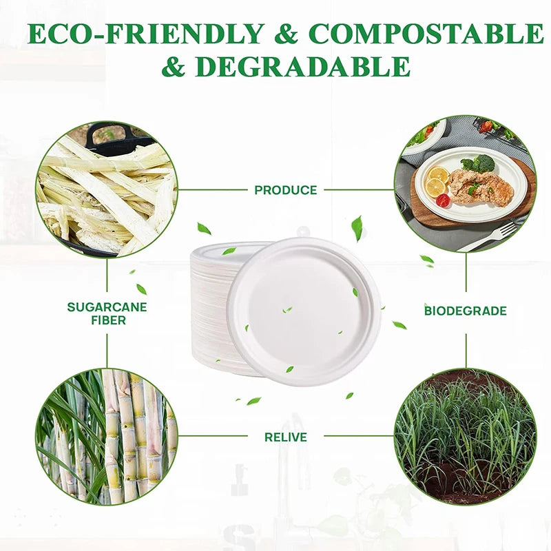 9-Inch Disposable Plates (50-Pack) - Food-Grade Sturdy Leak-Resistant for Picnics Outdoor Parties Indoor Home Gatherings